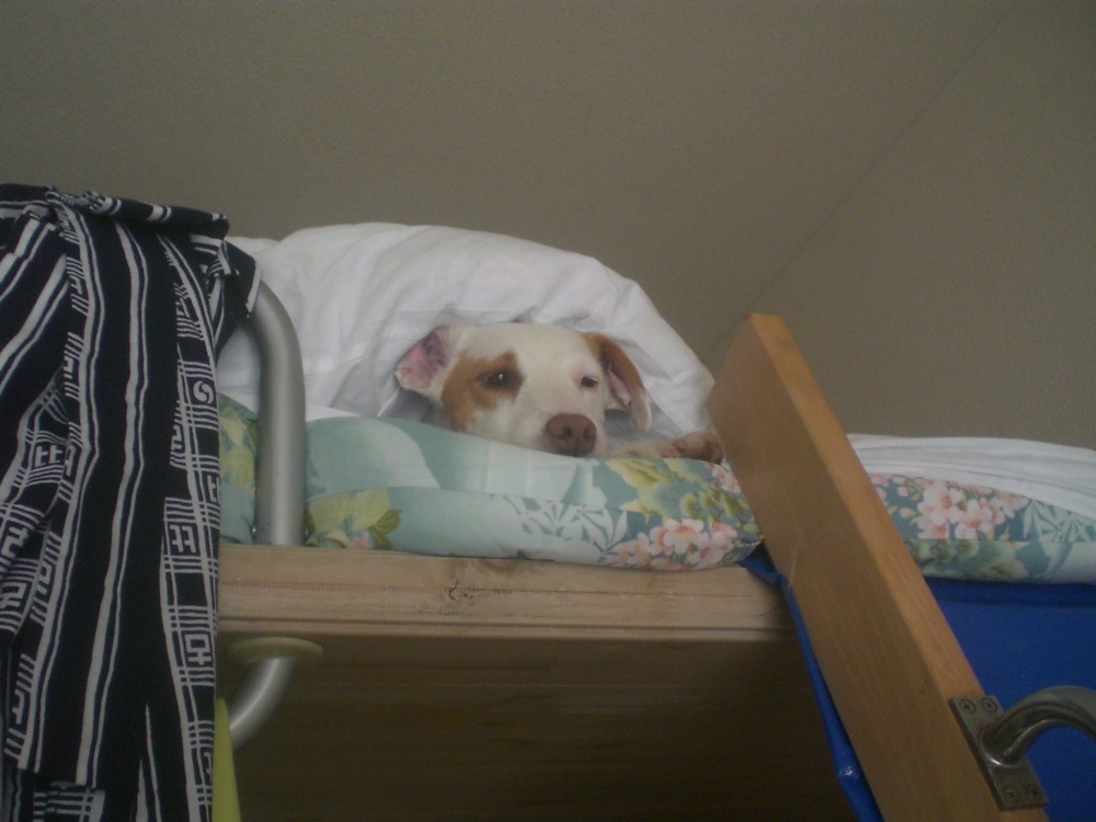 Une des positions favorites de Carlo lorsqu'il est dans la mezzanine