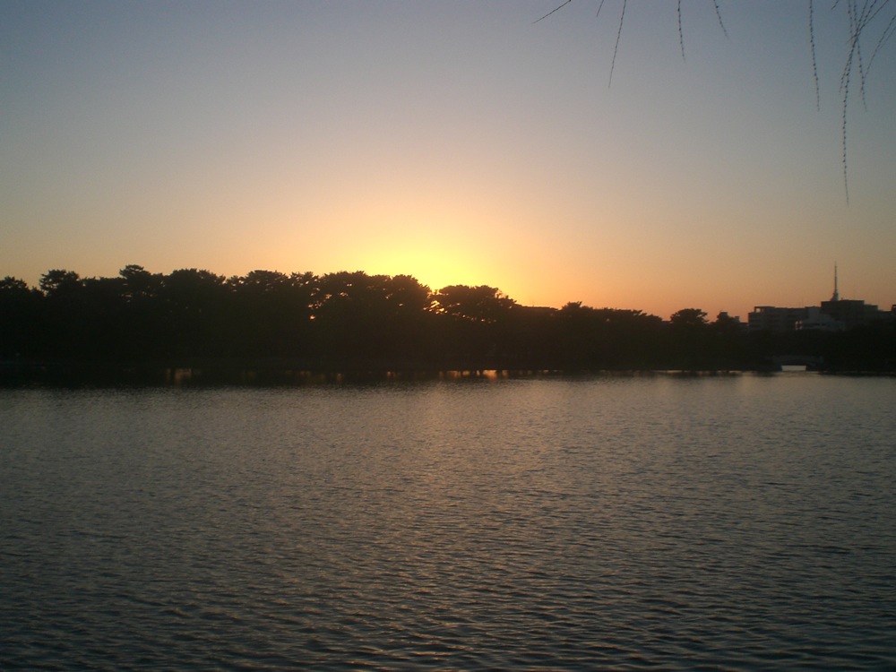Coucher de soleil sur le lac du parc Ohori