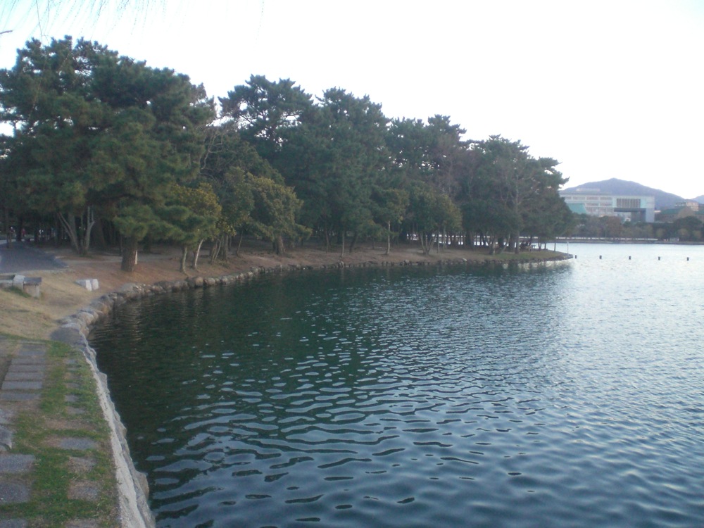 Le lac est bordé d'arbres, de bancs et il y a une petit chemin qui l'entoure
