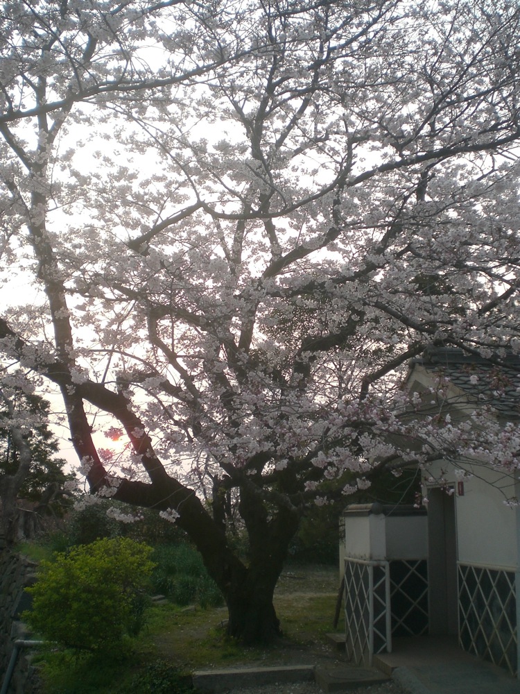 Ruines du château: je manque d'imagination pour les commentaires alors je vous laisse plutôt regarder...