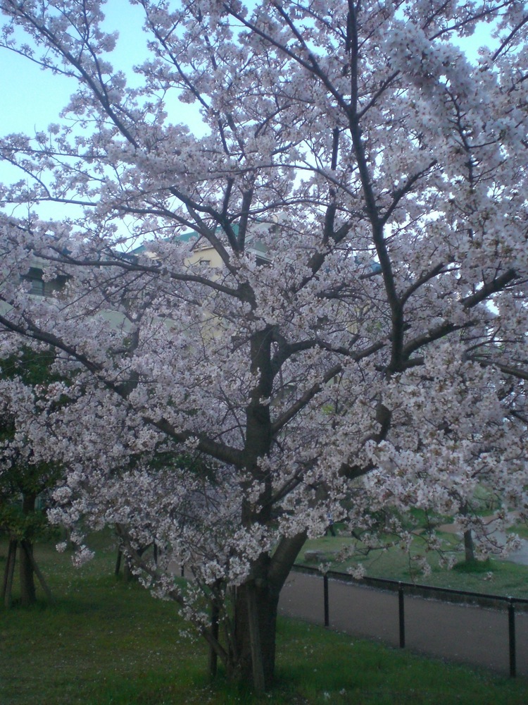 Au bord de notre petit lac