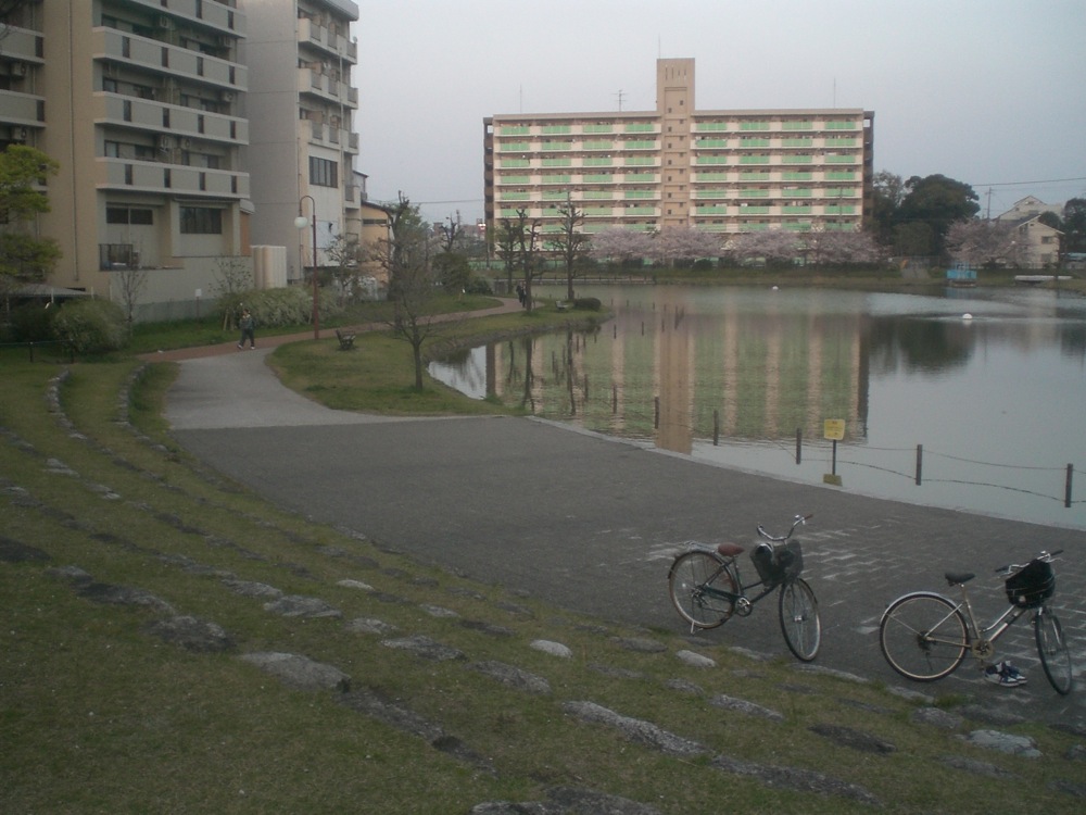 Notre petit lac, tout près de la maison