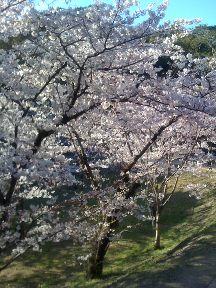 Parc Nishi: je me demande combien de photos identiques vous seriez prêts regarder???