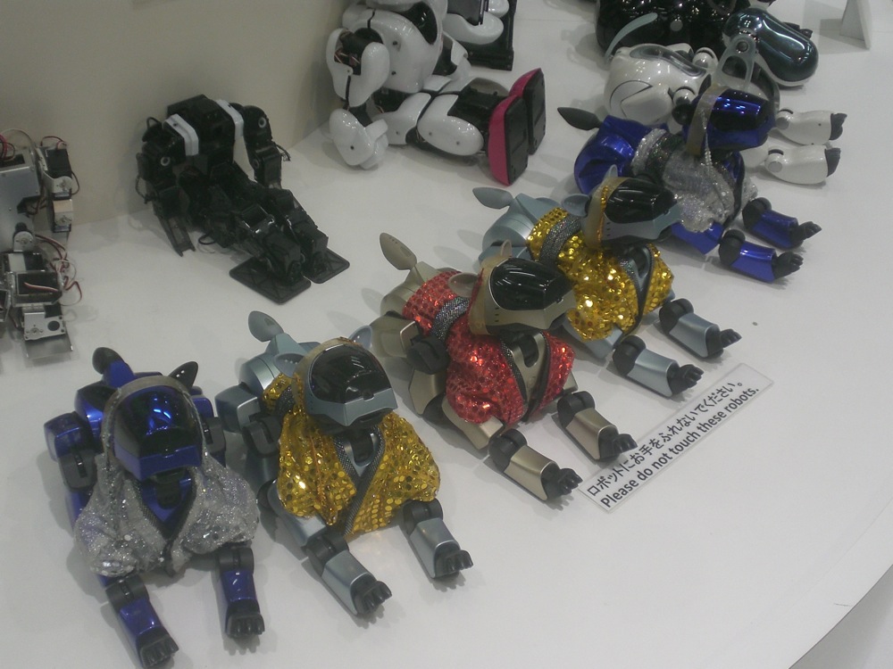 Robosquare: Au Japon, même les chiens-robots portent des vêtements...