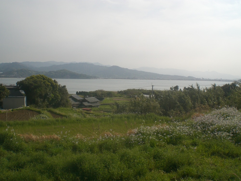 L'île est peu peuplée ce qui laisse la place aux champs et aux fleurs! D'ici nous avons une jolie vue sur les montagnes environnantes de Fukuoka. Dans l'une d'entre elles se trouve notre appartement