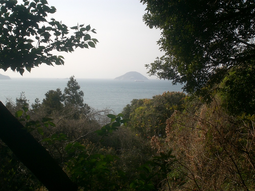 Parfois, les arbres s'écartaient pour nous laisser voir la mer