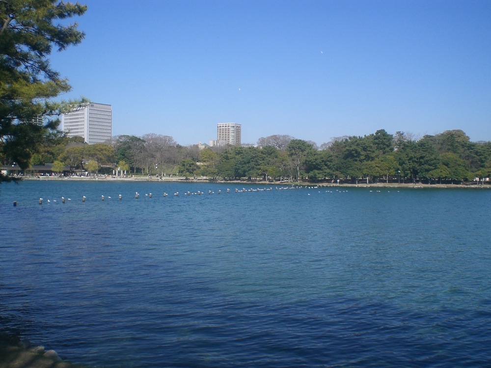 Ohori parc: il fait beau..!