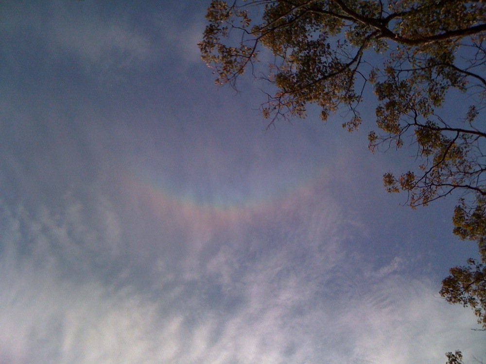 Un joli arc-en-ciel qui sort de nulle part