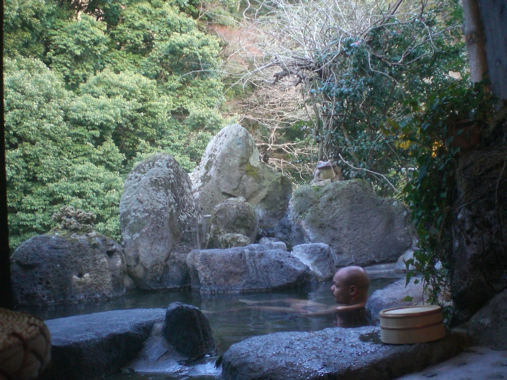Ryokan: un magnifique rotemburo (bassin extérieur) au milieu de la nature