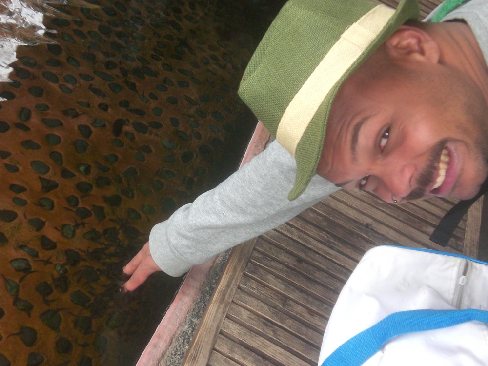 Ryokan: à l'entrée un bain de pieds rempli de petits poissons dévoreurs de peaux mortes!