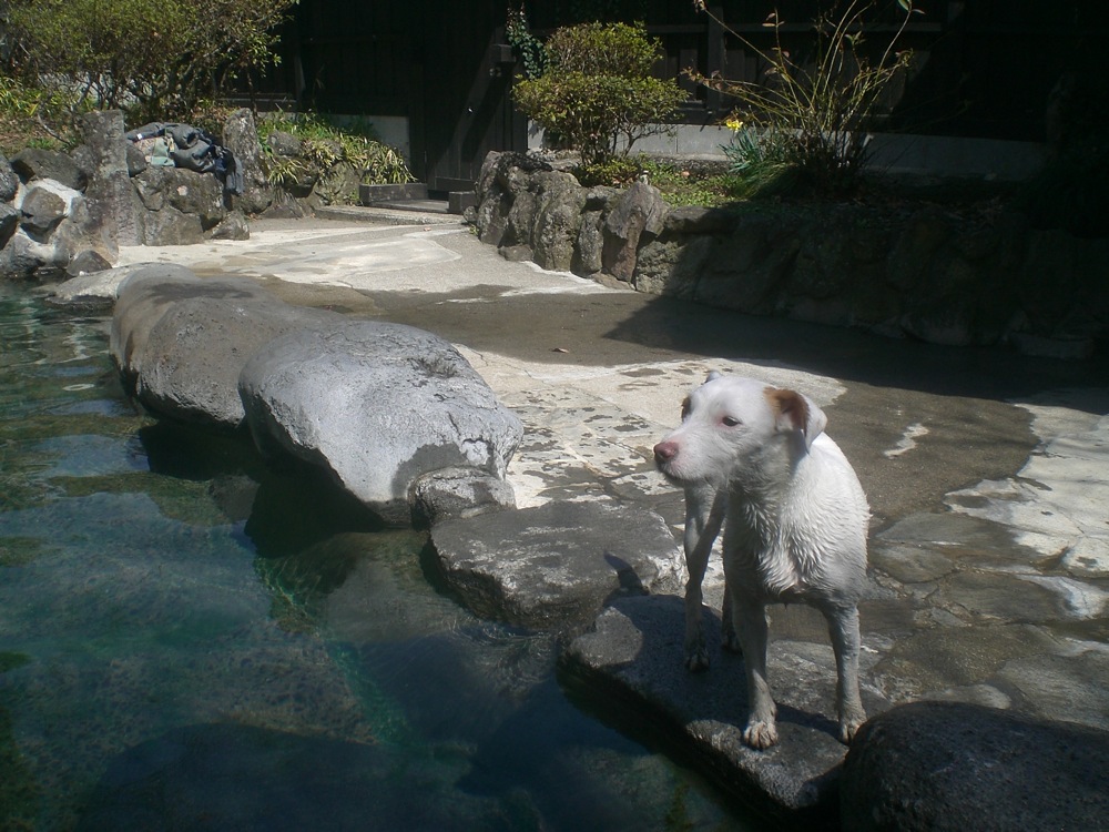 Kazokuburo: finalement Carlo a testé l'onsen... malgré lui!