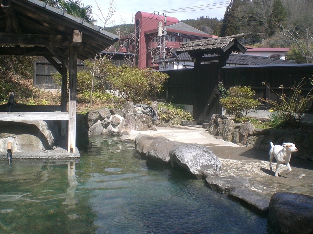 Kazokuburo: notre bassin privé en pleine campagne