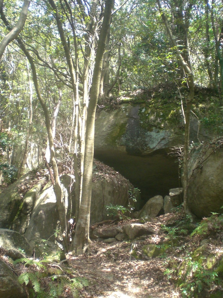 Dimanche sous les cerisiers: séance de crapahutage dans la forêt! Ca grimpe sec et il fait chaud mais ça fait du bien!