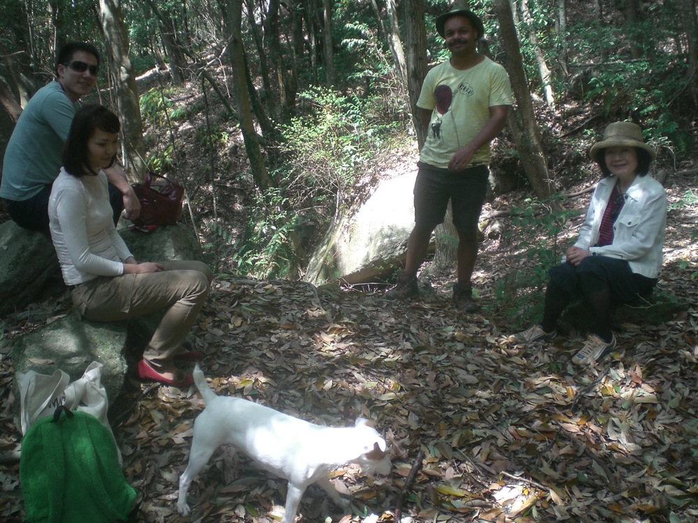 Dimanche sous les cerisiers: petite pause dans la forêt