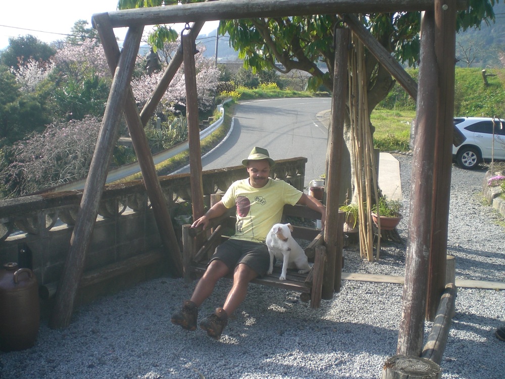 Dimanche sous les cerisiers: robuste balançoire en bois