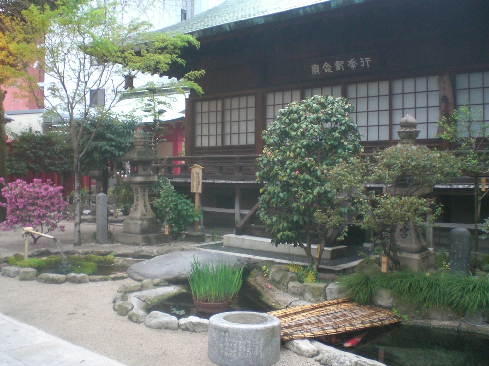 Ah, voilà enfin la photo que je voulais faire, prise de justesse entre 2 grimaces..!