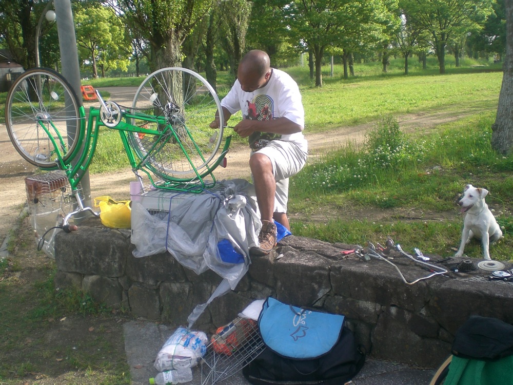 Pendant ce temps, Carlo qui est ravi de revenir dans son parc, trouve une balle et s'occupe comme il aime!