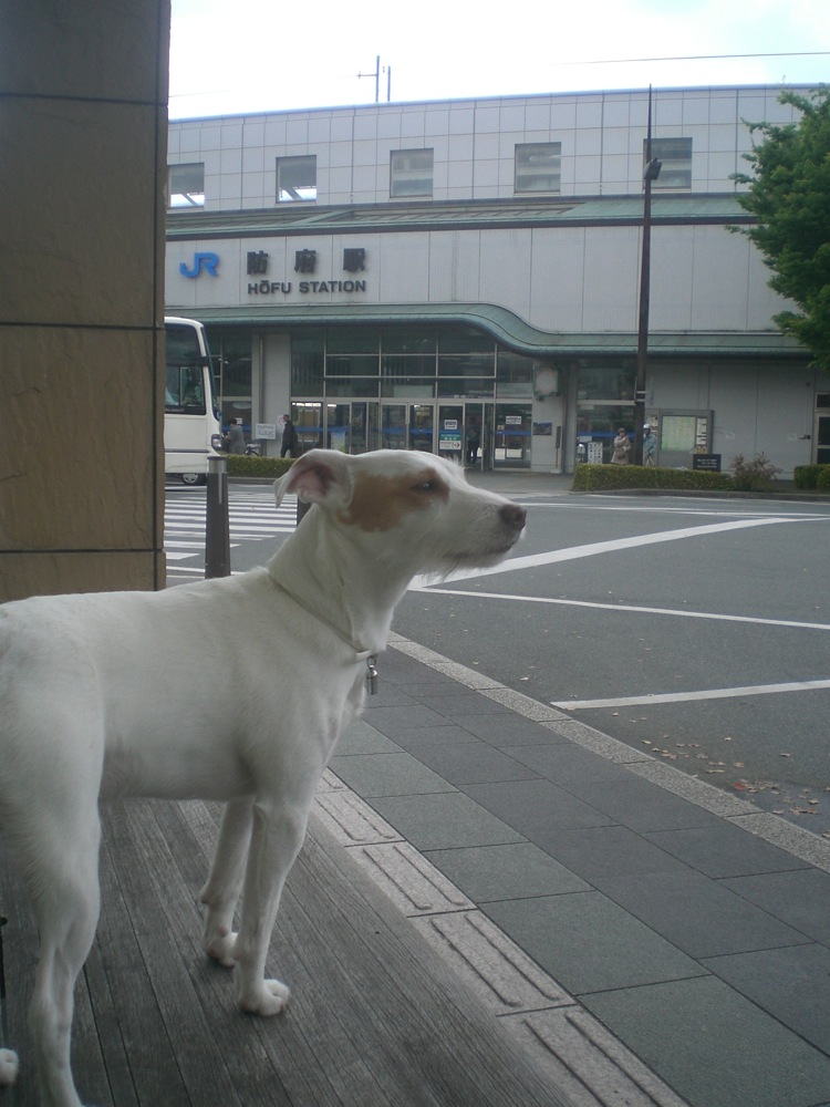 Check out de l'hôtel: Carlo et moi attendons François