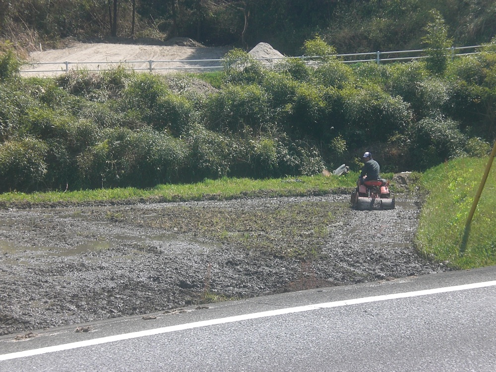 Un homme travaille dans un champ de riz encore très humide