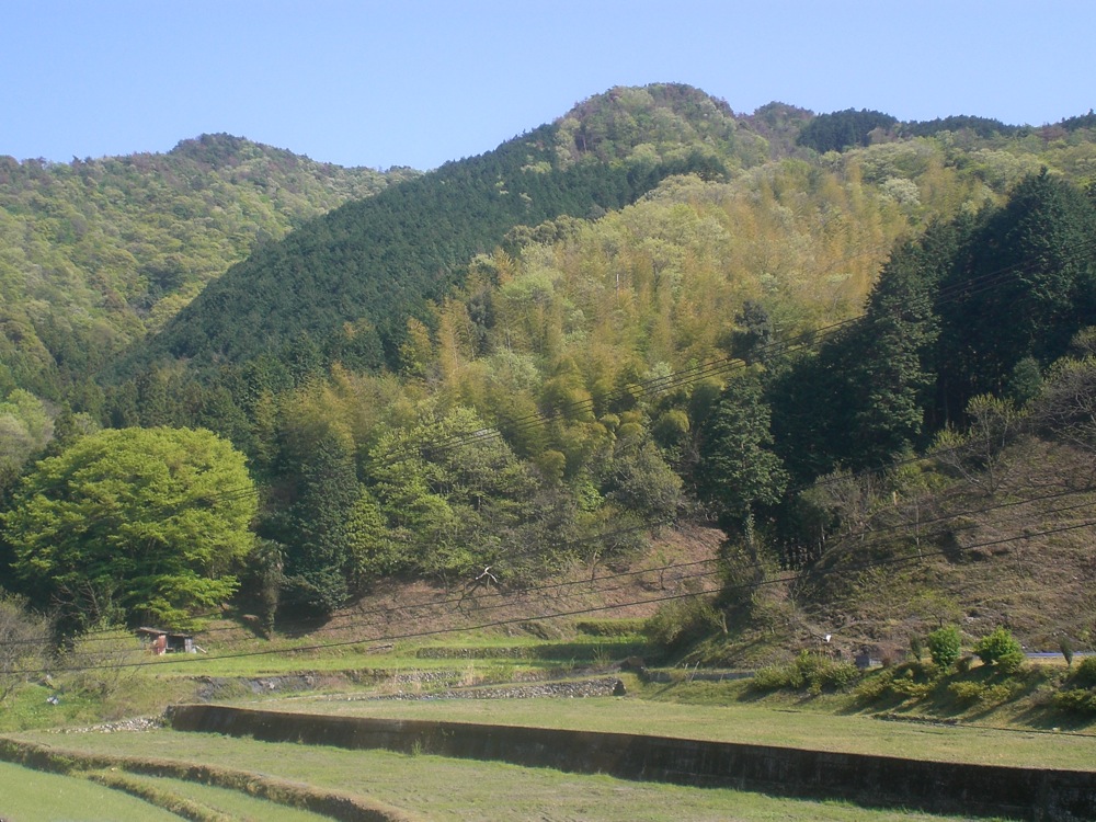 Des champs de riz, secs, cette fois
