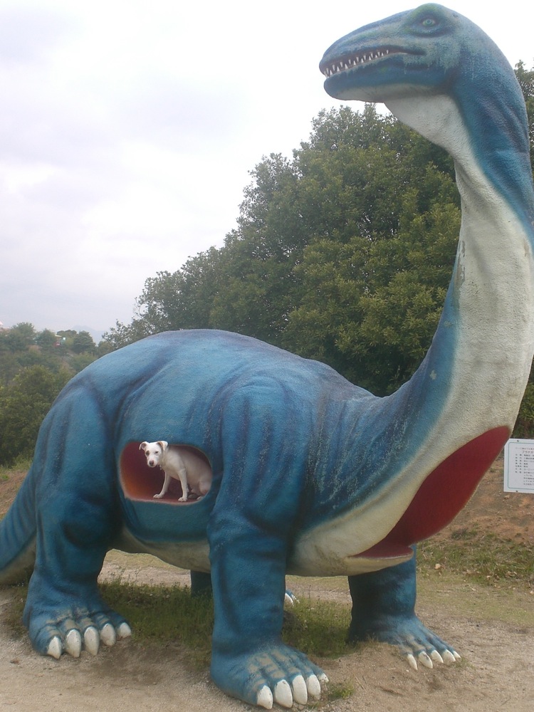 Carlo a su dompter celui-ci!