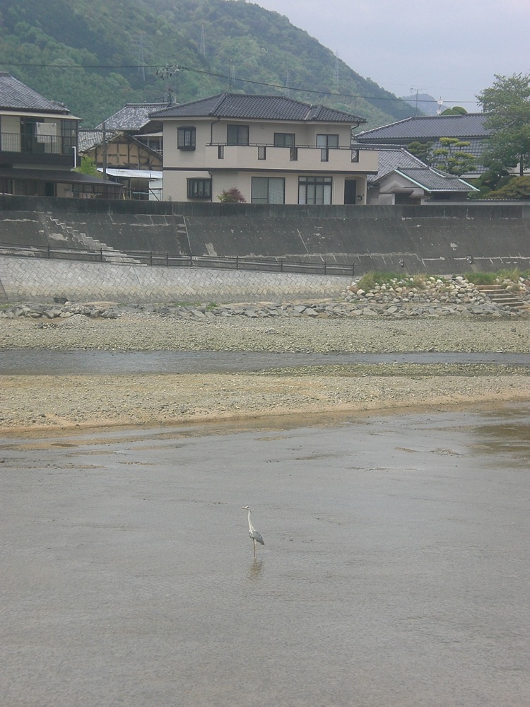 Une grue au milieu du canal. On en croise très souvent. 