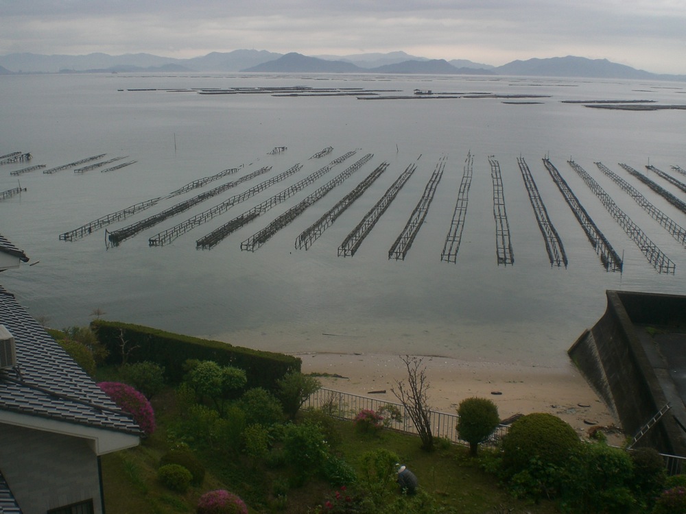 Après cet incident technique et la pluie qui semble ne pas vouloir s'arrêter, nous installons notre campement... au love hotel... avec vue sur la mer!