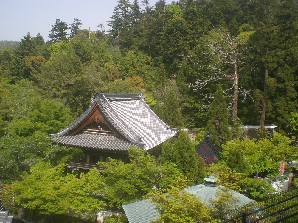 En attendant la marée haute: petite marche jusqu'à plus de 500m d'altitude...