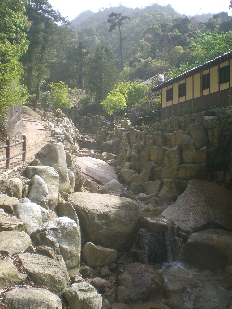 Au programme de cette marche: gros cailloux, un tout petit torrent, pleins d'arbres et quelques daims