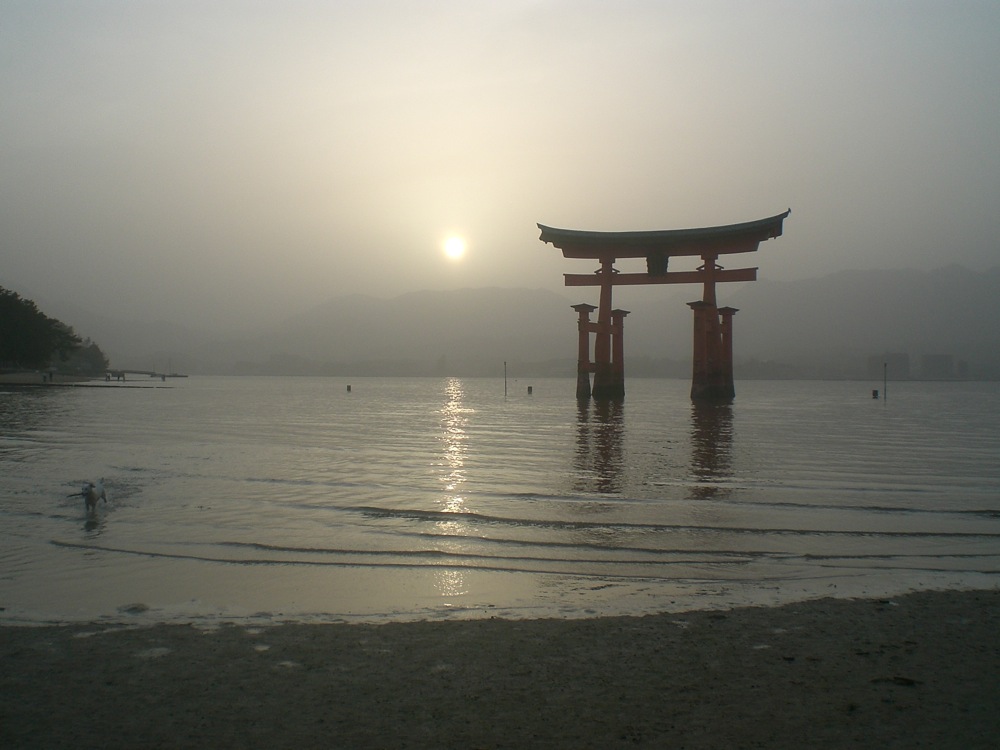La mer qui monte n'a apparement pas chassé TOUS les touristes...