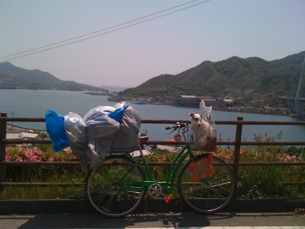 Petite photo au milieu des fleurs de papiers