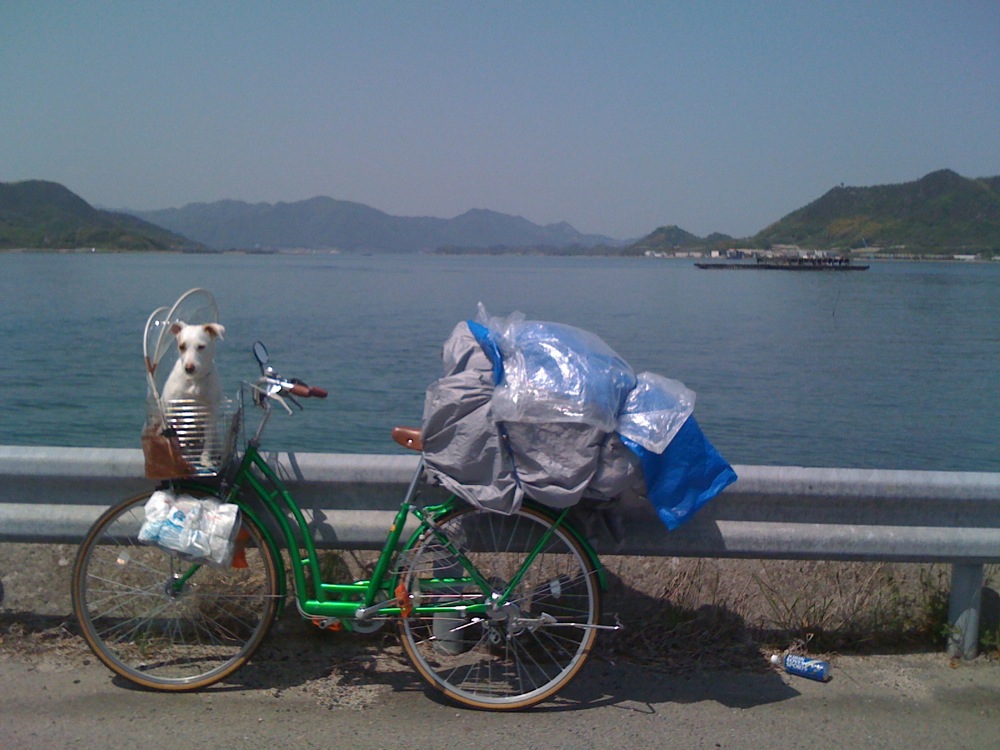 Petite photo souvenir de notre Lulu international