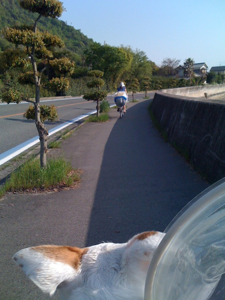 On reprend la route après la baignade