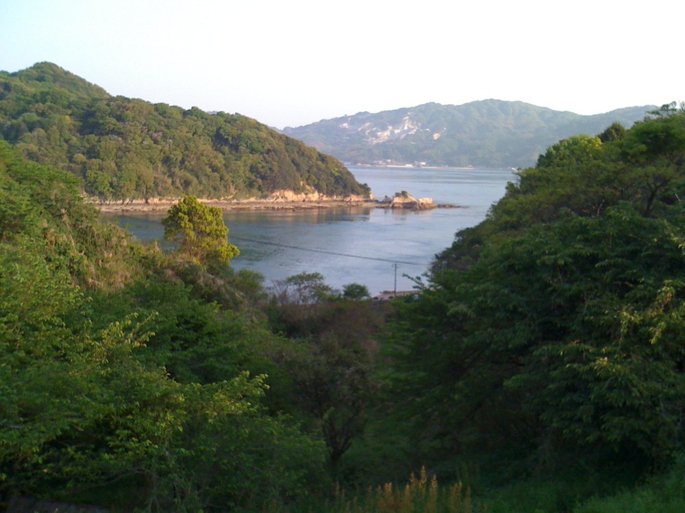 Du hait des ponts, on jouit d'une vie magnifique sur les îles