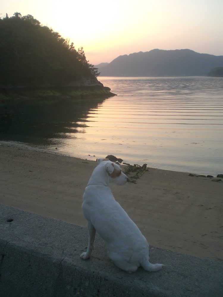 Carlo devra attendre le lendemain pour se baigner: pas question de dormir sous la tente plein de sable et de sel!