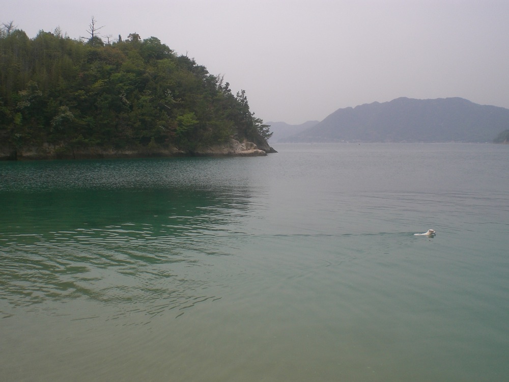 Lendemain matin: la plage a disparu mais ça n'empêche pas Carlo d'aller se baigner pendant qu'on remballe!