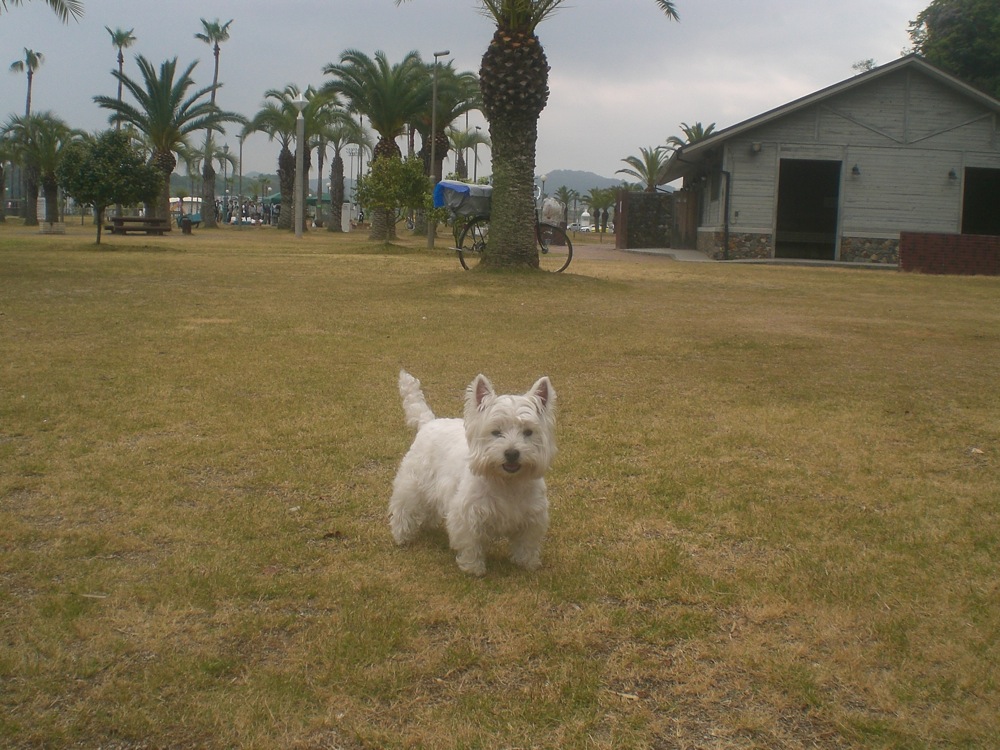 Le lendemain matin, nous rencontrons cette demoiselle