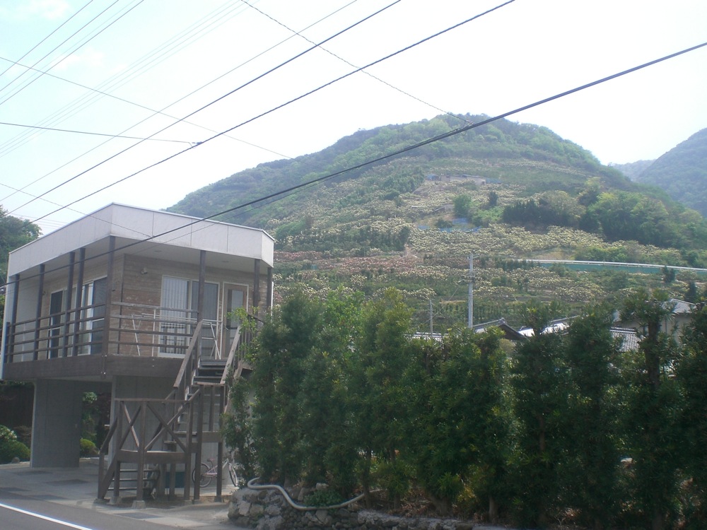 La montagne est couverte d'orangers et de jolis papiers colorés