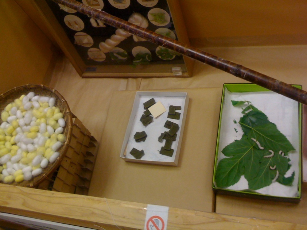 Du ver à soie au fil à tisser: on voit des vers à droite et du fil à gauche