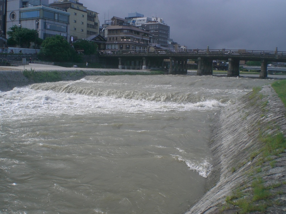 On ne reconnait plus la rivière que nous aimions tant. Impossible d'y envoyer Carlo avec un tel courant! Tout ça après seulement 2 jours de pluie...