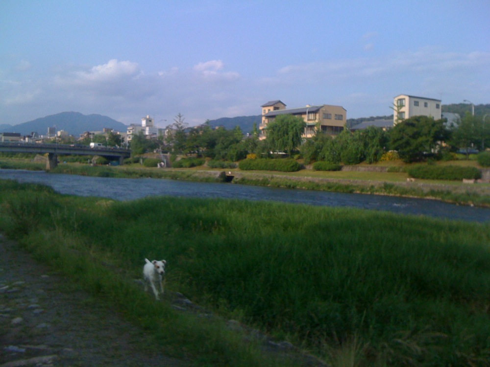 Les rives verdoyantes de la rivière