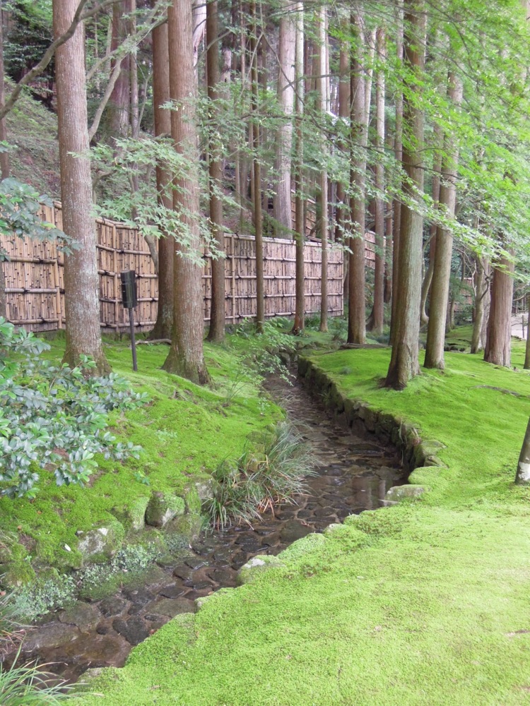 Ginkaku-ji: le parc du temple est recouvert de mousse bien verte