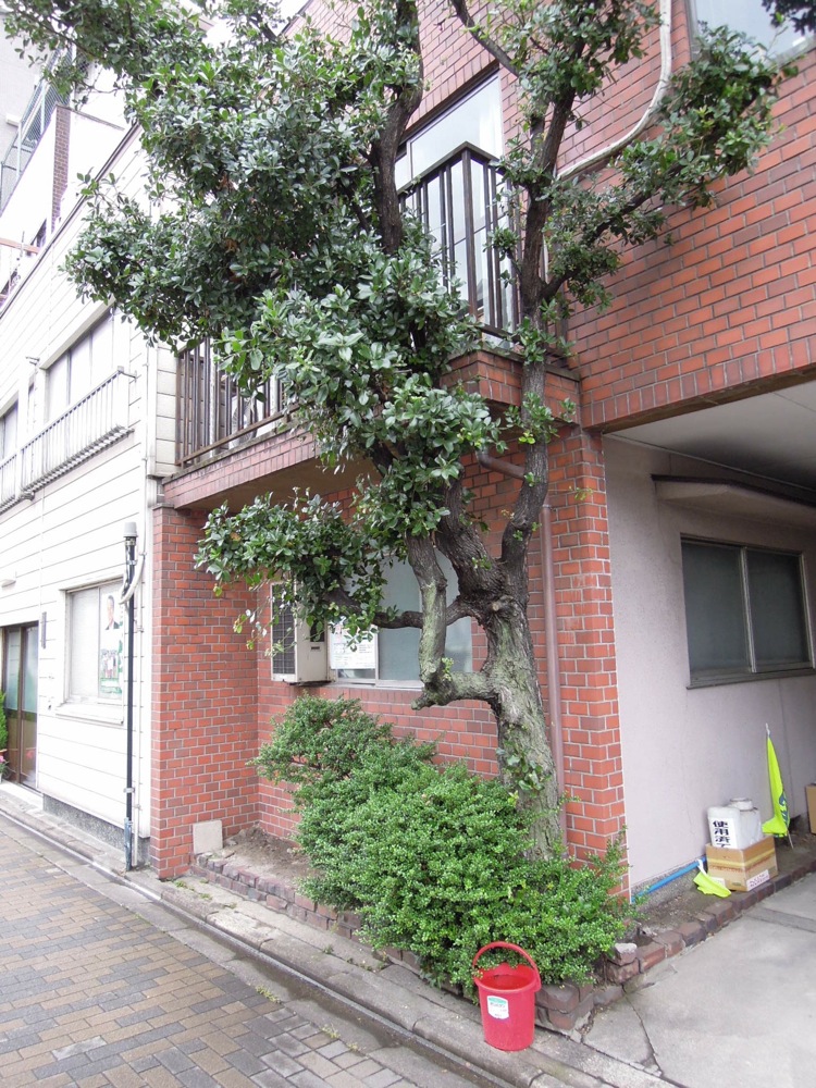 Une maison de Kyoto: le seau rouge devant est une protection contre un (début d') incendie!