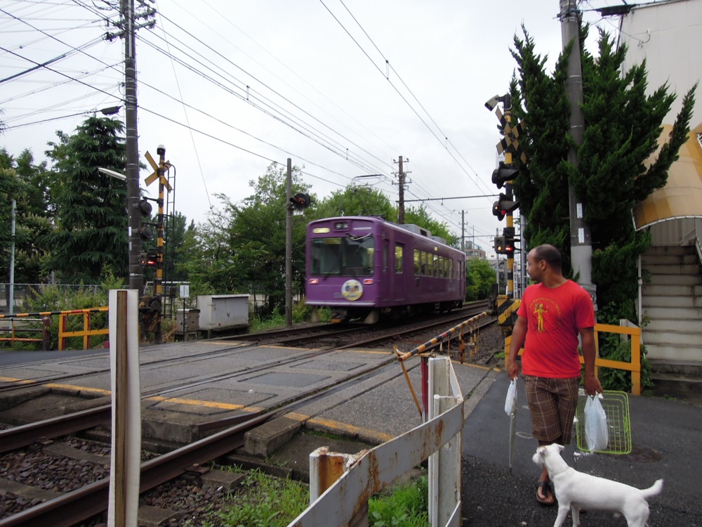 Les voies ferrées à Arashiyama, à côté de Kyoto: rudimentaires et colorées