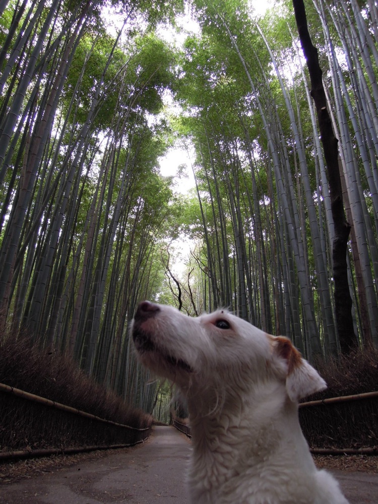 Lulu impresionné lui aussi?