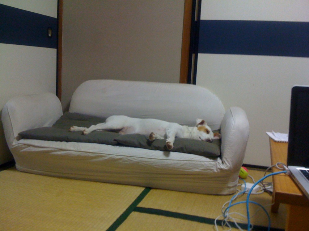 Notre canapé 2 personnes... monopolisé par le plus petit de la famille...!