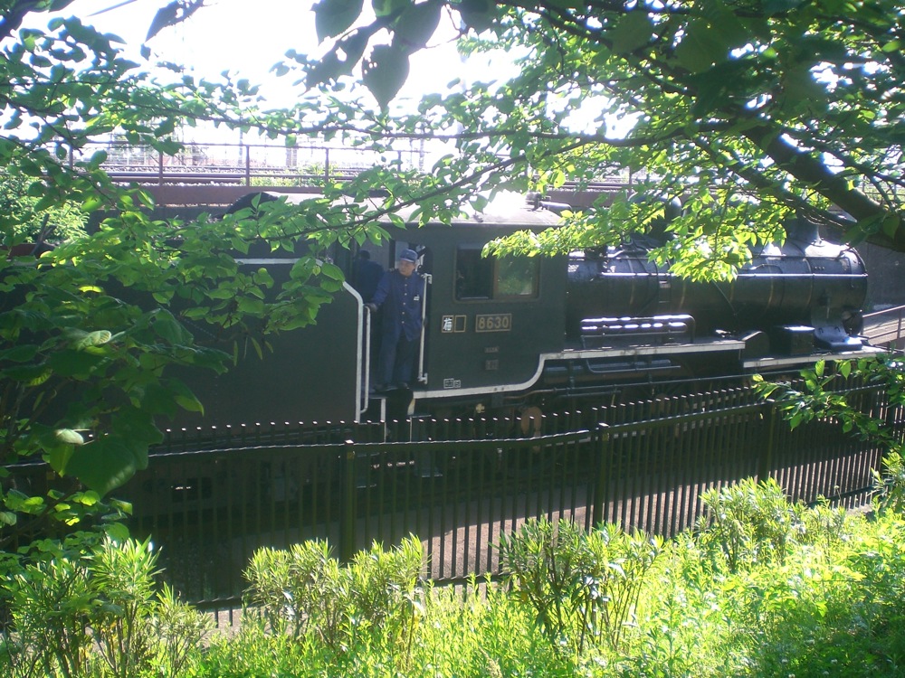 Le musée de la locomotive se trouve dans ce parc et ce train passe quelquefois par ici