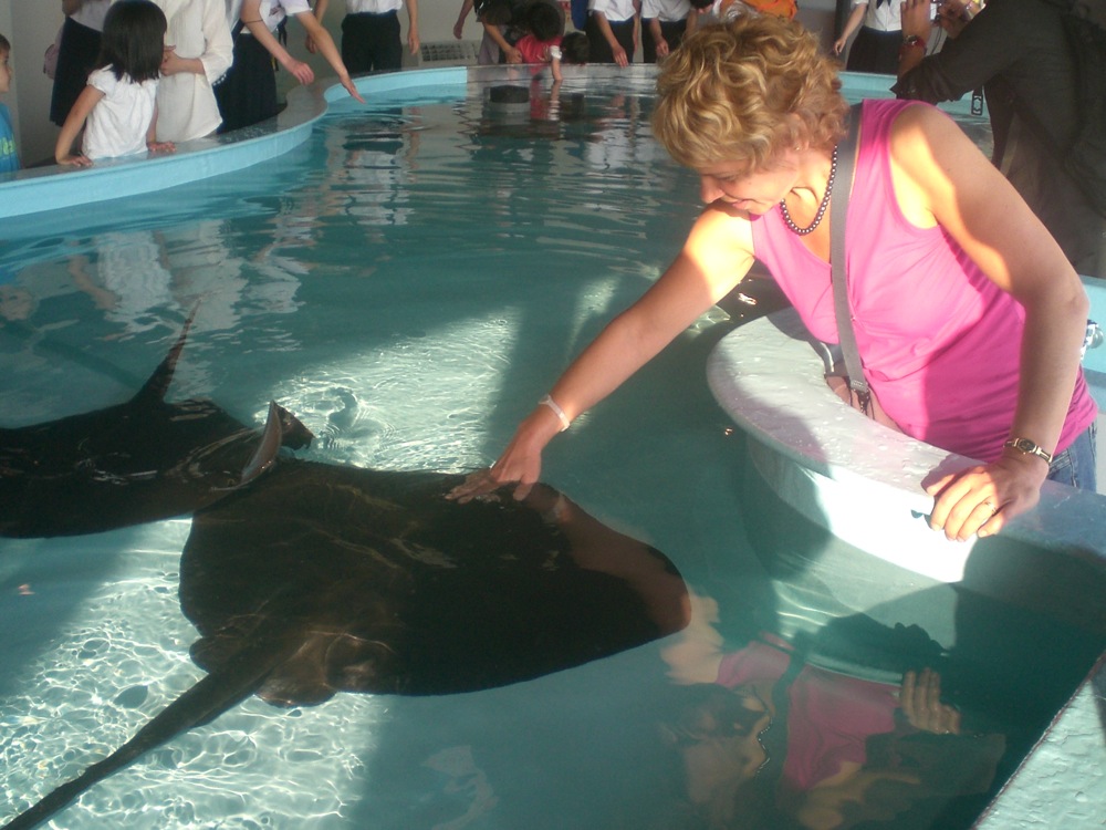 Bassin caresses: Maryse caline une raie mais sa copine est jalouse!