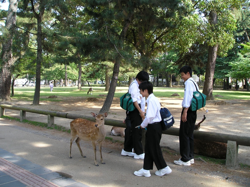 À l'entrée du parc