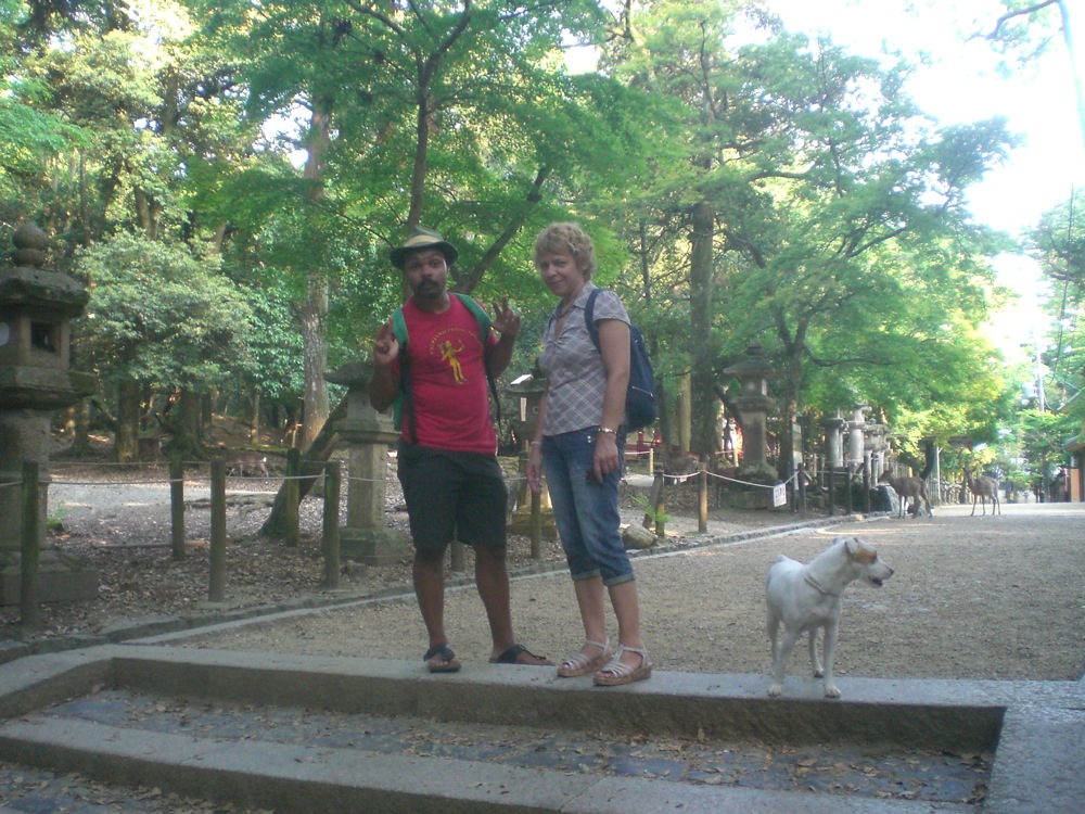 Balade sur des sentiers ombragés